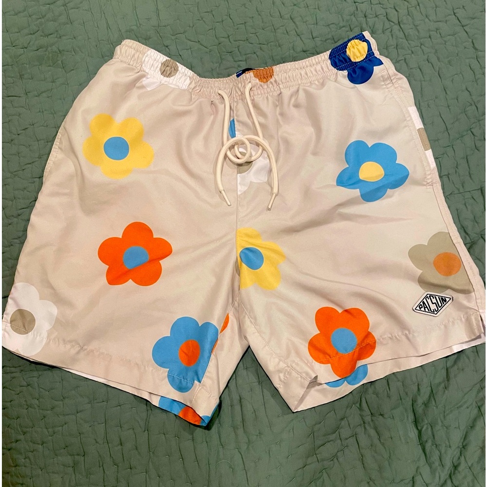 PacSun Men's multi Swim-briefs-shorts